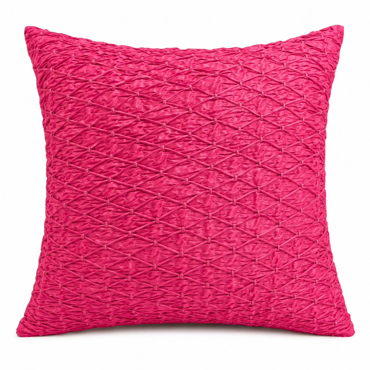 Charakha Rani Pink Cushion